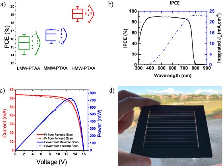 Perovskite Polaron