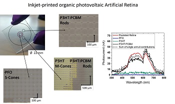 artificial retina Fig3