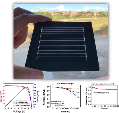 polaron perovskite 0