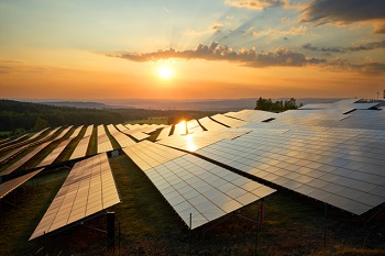 solar farm 662095604 iStock Milos Muller 1