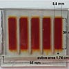 photoelectrochemical and spectrophotometric studies on dye-sensitized solar cells (dscs) and stable modules (dscms) based on natural apocarotenoids pigments